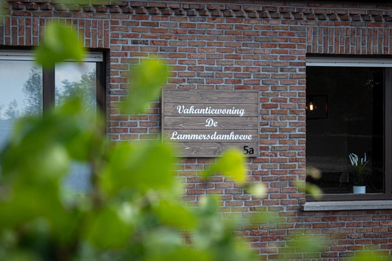 De Lammersdamhoeve Wingene المظهر الخارجي الصورة